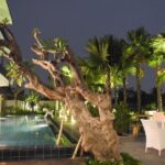 sawah joglo pool view 150x150