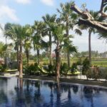 sawah joglo poolview 150x150