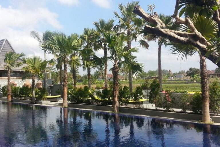 sawah joglo poolview 768x512