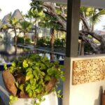 sawah joglo view reception entrance 150x150