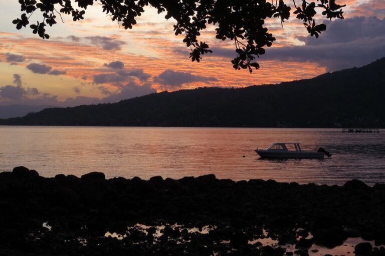 alami alor 11 768x512