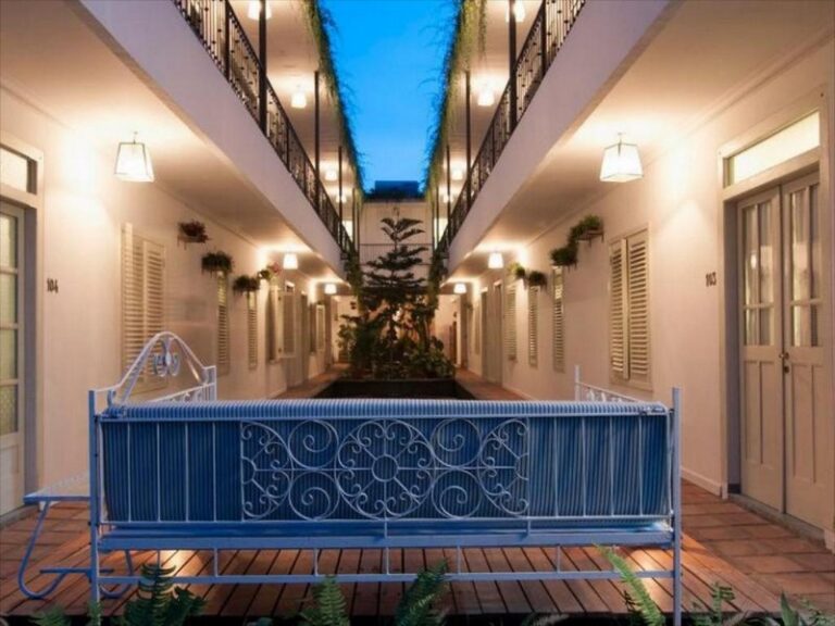 brown feather 02 1 768x576