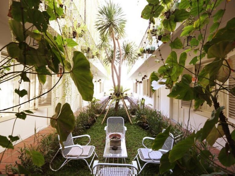 brown feather 04 1 768x576