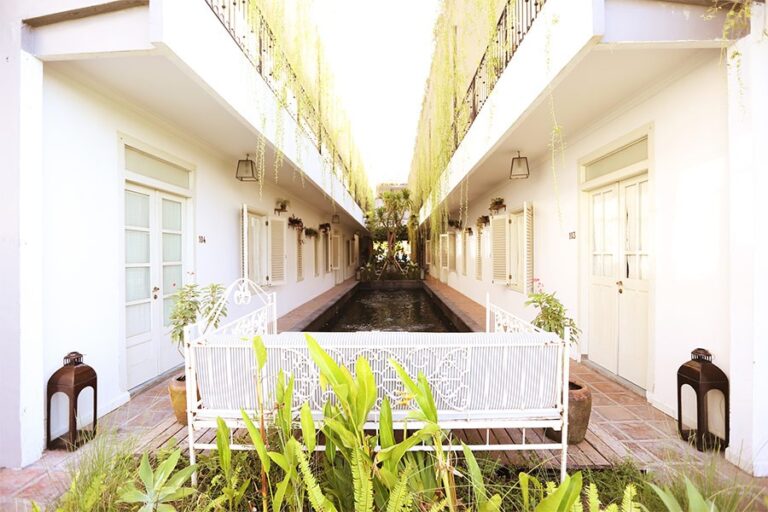 brown feather 09 1 768x512