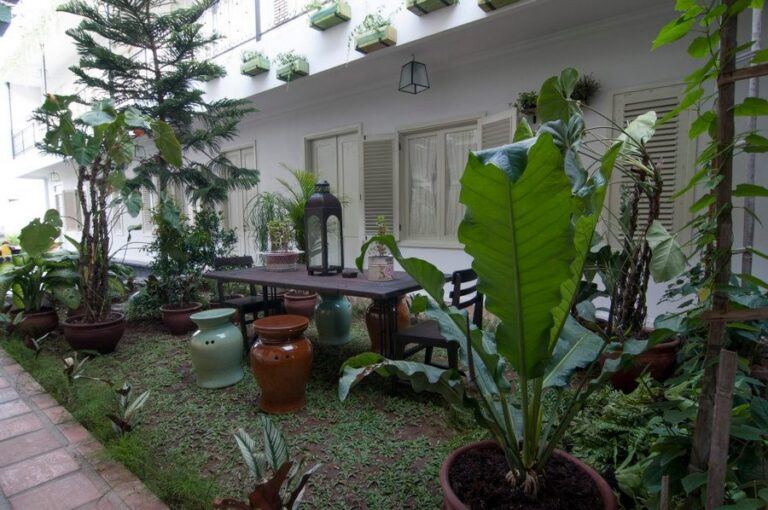 brown feather 13 1 768x510