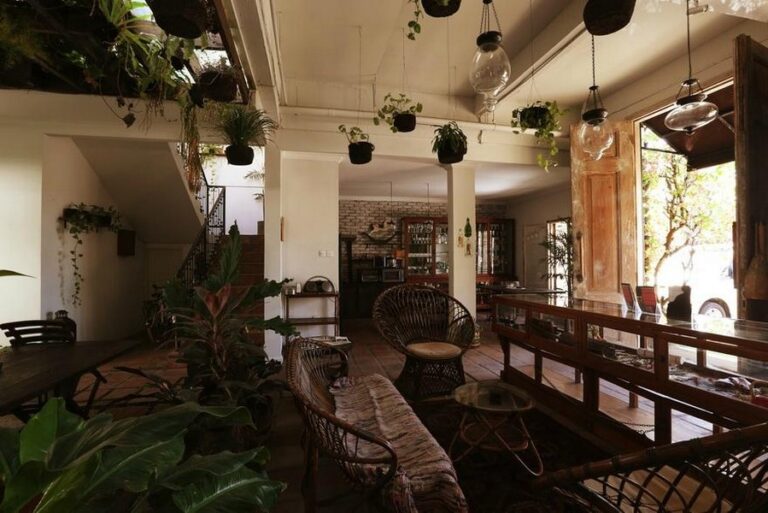 brown feather 15 1 768x513