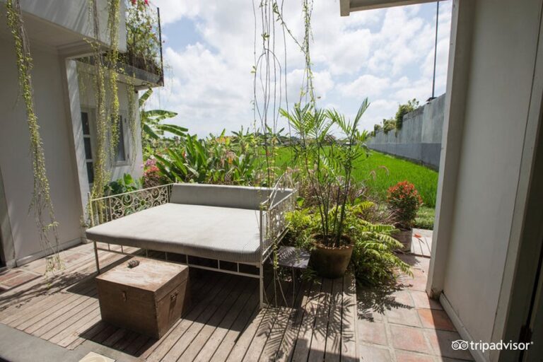 brown feather 17 1 768x512