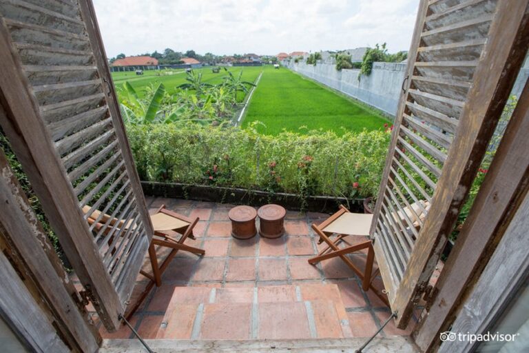 brown feather 18 1 768x512