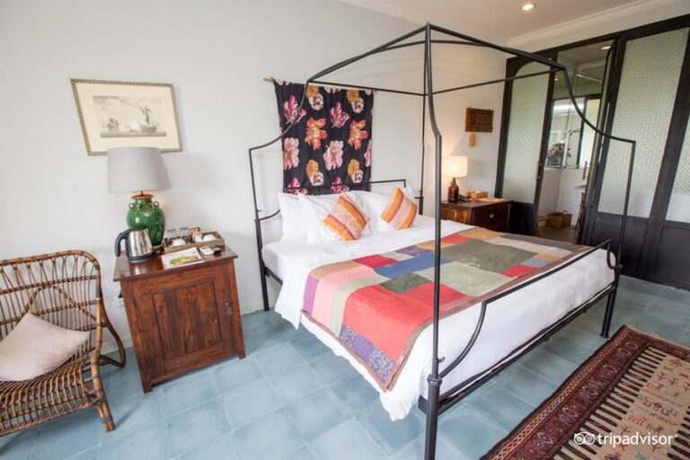 brown feather 19 1 768x512