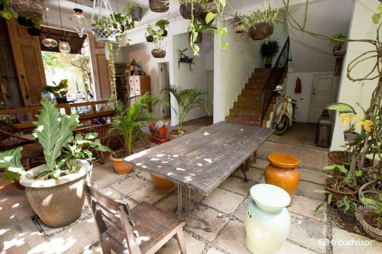 brown feather 20 1 768x512