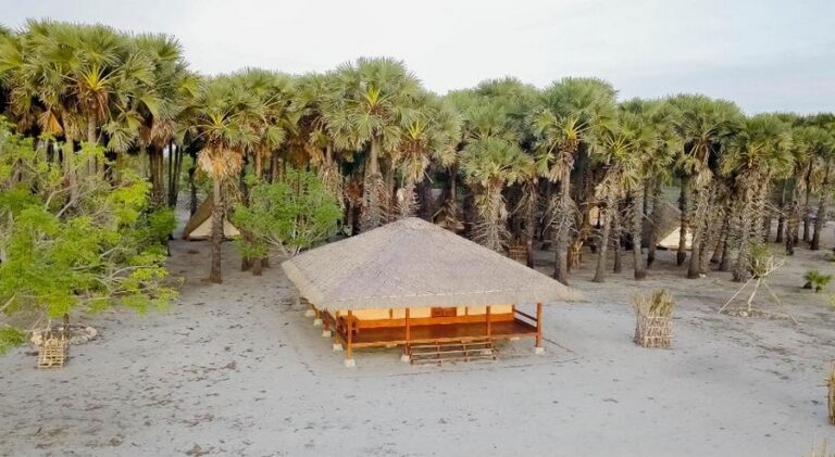 costa beach 13 768x421