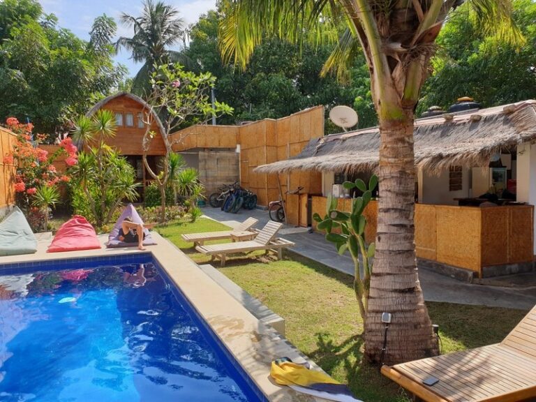 cotton tree 01 768x576