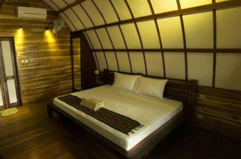 cotton tree 03 768x507