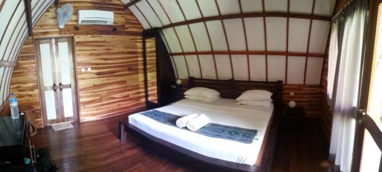 cotton tree 04 768x347