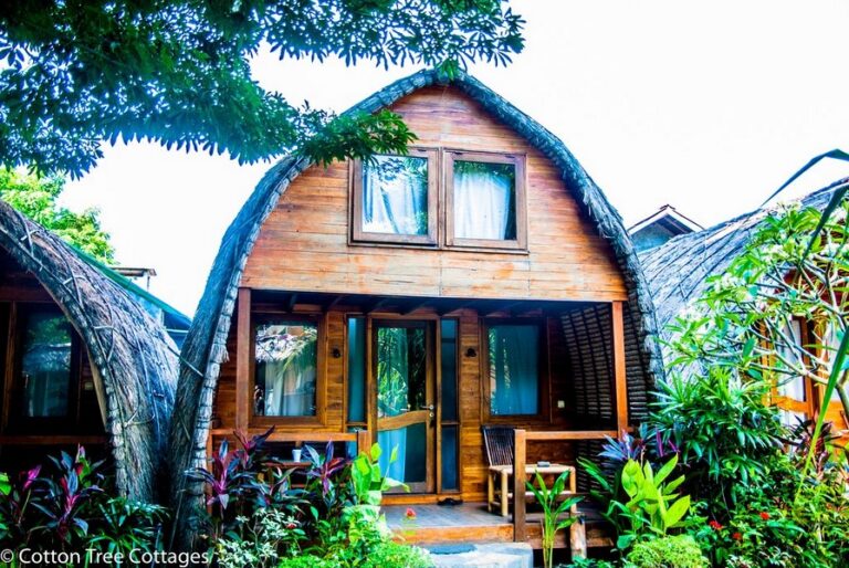 cotton tree 06 768x514