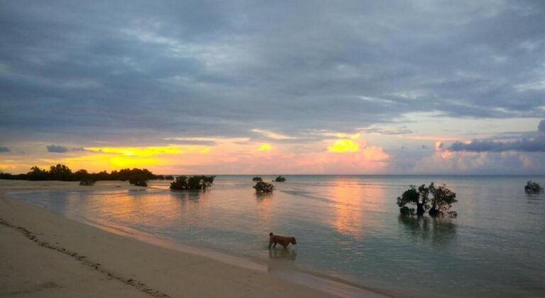 eco sumba 11 768x421