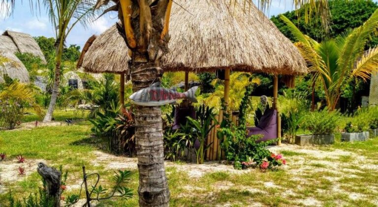 eco sumba 13 768x421