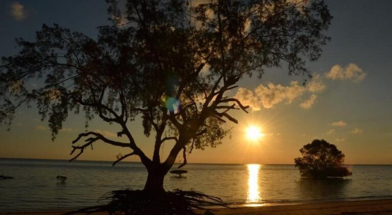 eco sumba 17 768x421