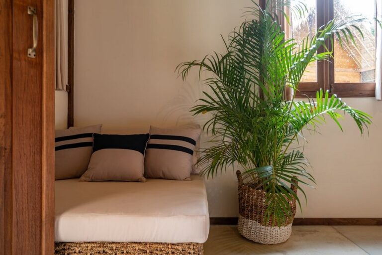 green escapei green escape bali eco 7 768x512