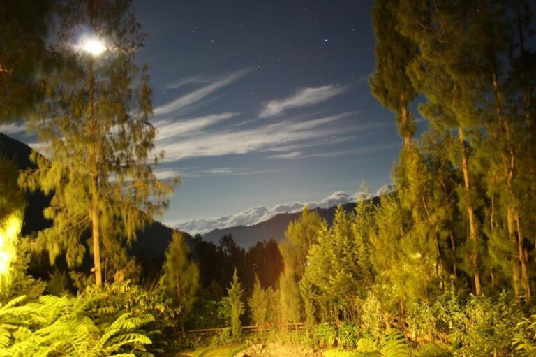 jiwa jawa 04 768x511