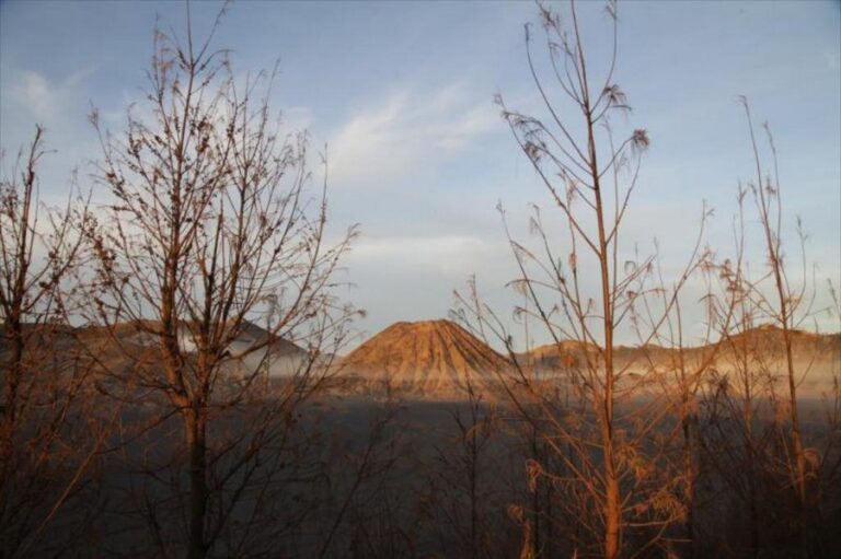 jiwa jawa 10 768x511