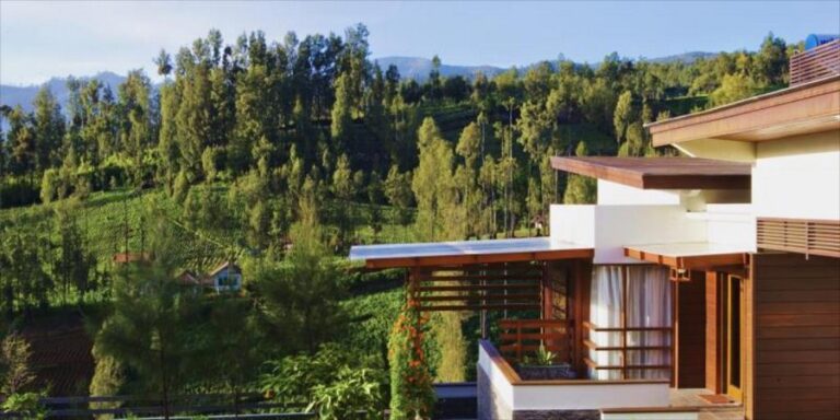 jiwa jawa 15 768x384