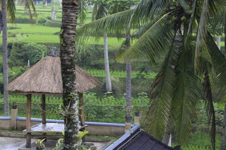 junjungan 14 1 768x511