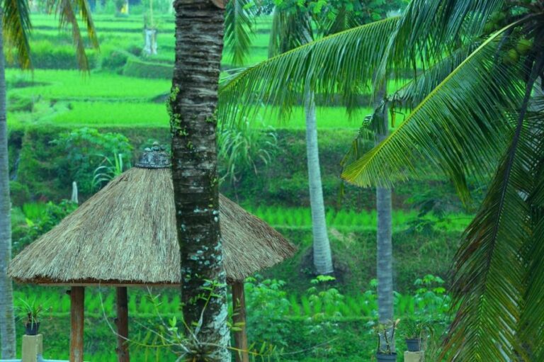 junjungan 16 1 768x511