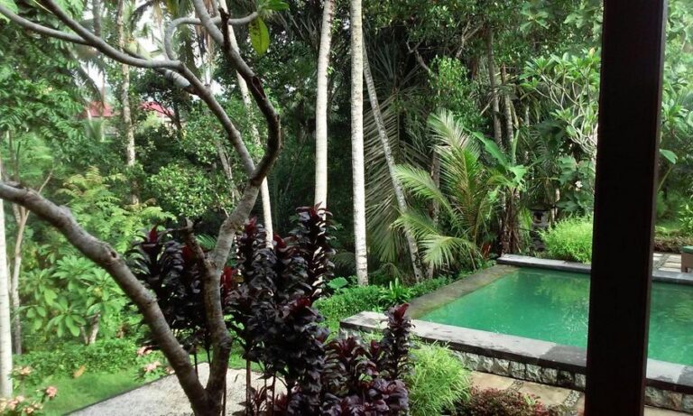 junjungan 18 1 768x461