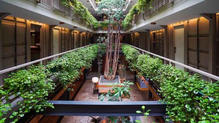 kollektif 10 768x432