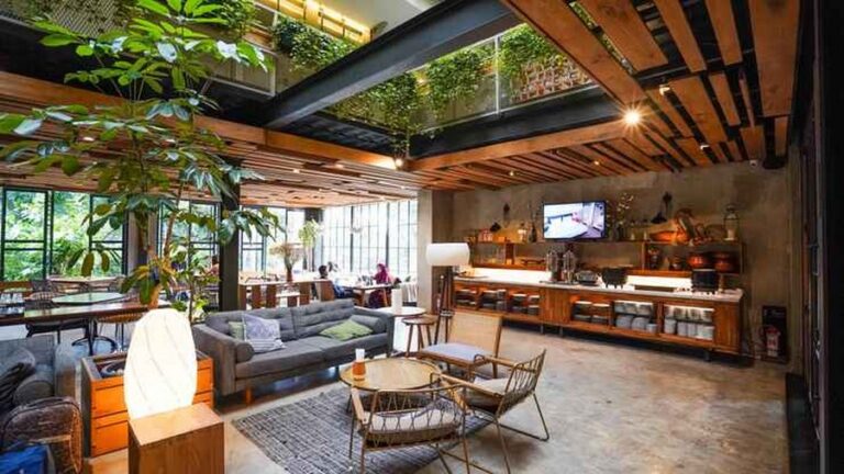 kollektif 11 768x432