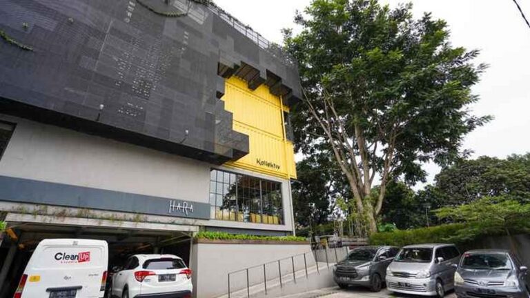 kollektif 15 768x432