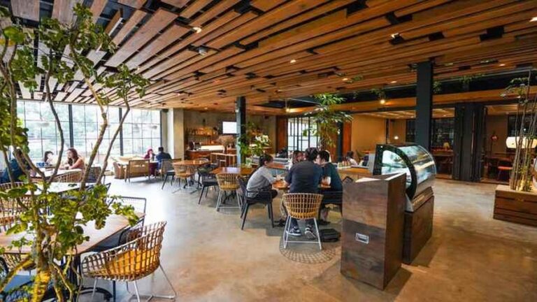 kollektif 16 768x432