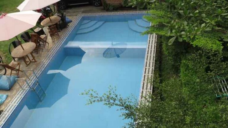 lovina krui 19 768x431