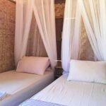 maleo 04 150x150