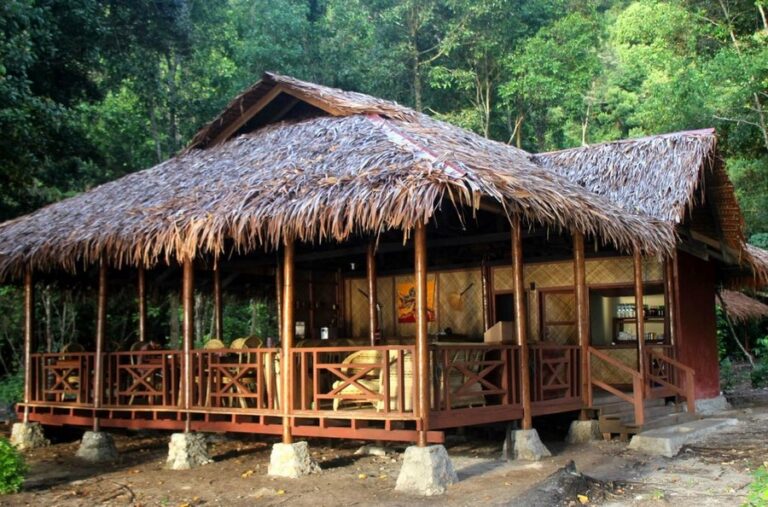 rimba eco 01 768x507