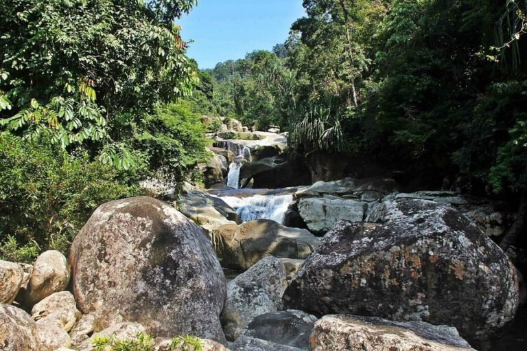 rimba eco 02 768x511