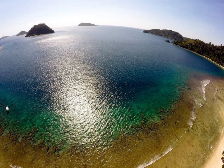 rimba eco 04 768x576