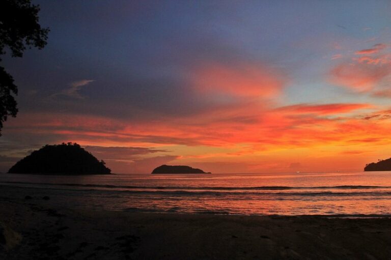 rimba eco 06 768x511