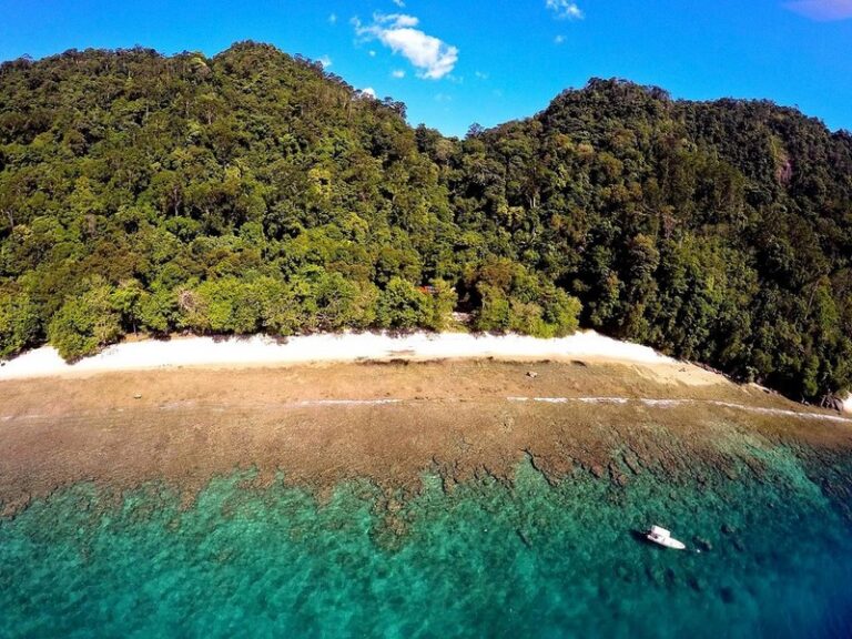 rimba eco 07 768x576