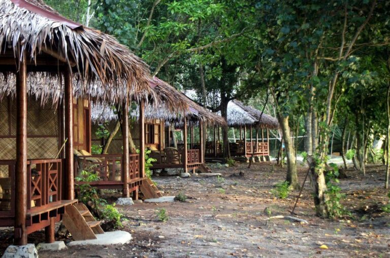 rimba eco 08 768x509