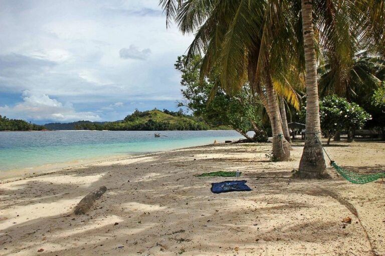 rimba eco 09 768x511