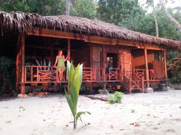 rimba eco 10 768x576