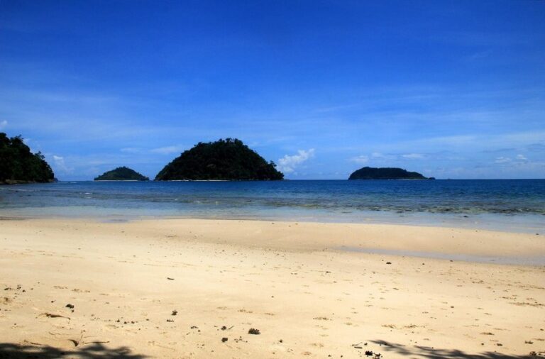 rimba eco 11 768x506