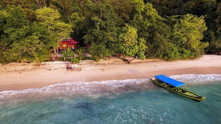 rimba eco 12 768x432