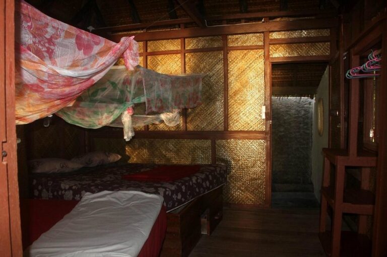 rimba eco 13 768x511