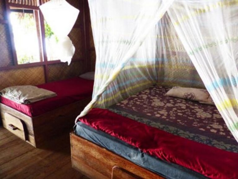 rimba eco 16 768x577