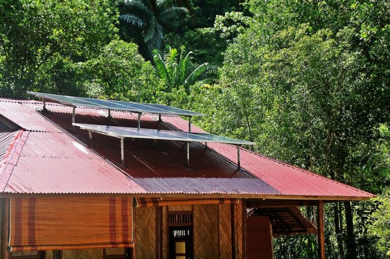 rimba eco 17 768x511