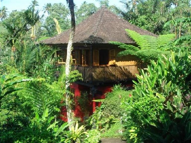 sarinbuana 08 768x575