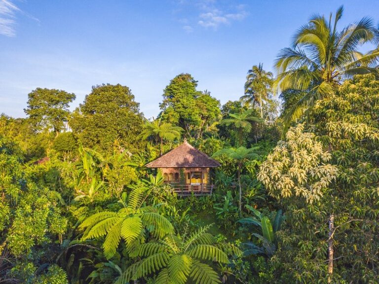 sarinbuana 18 768x576